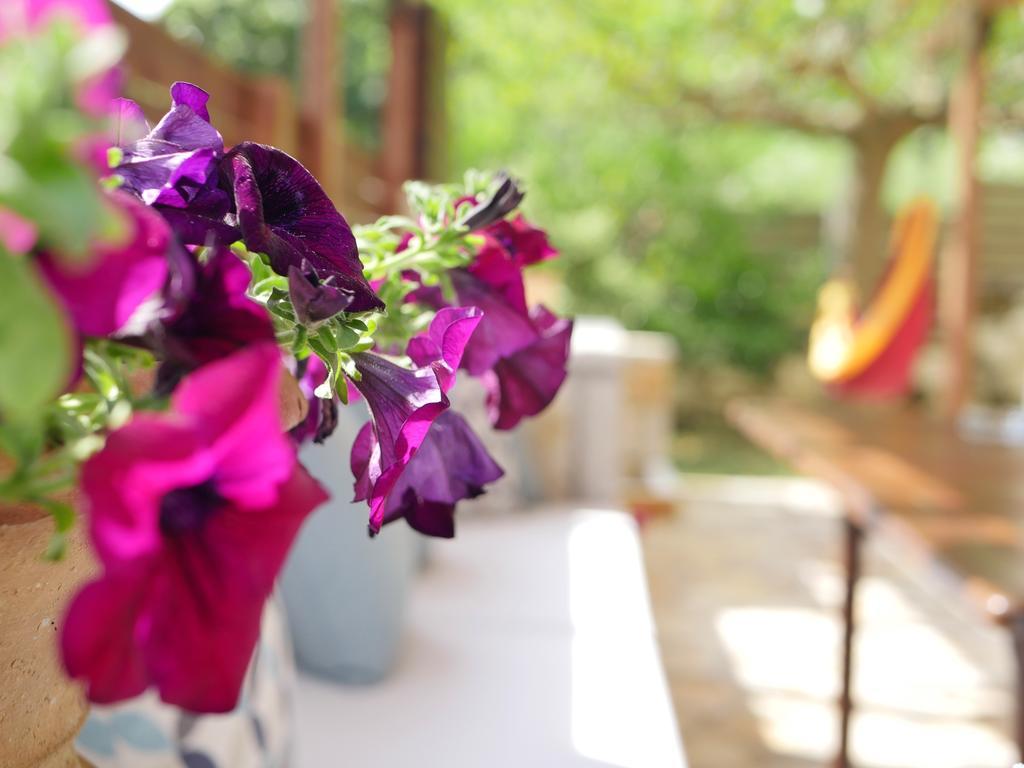 Villa Victoria Boutique Apartments Sívota Eksteriør bilde
